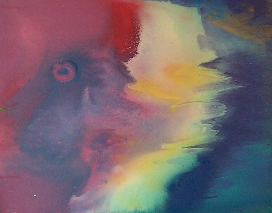 Christian Duran Gomez : Sans Titre